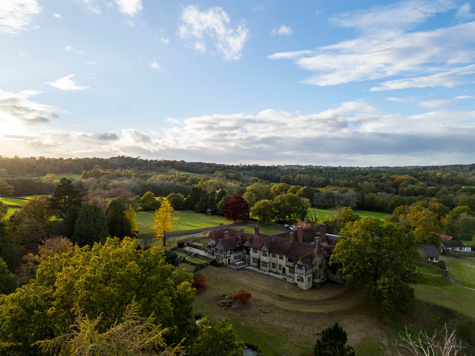 The estate from above at The Homestall Manor
